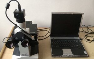 Metallurgical Microscope