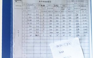 Last Article Inspection